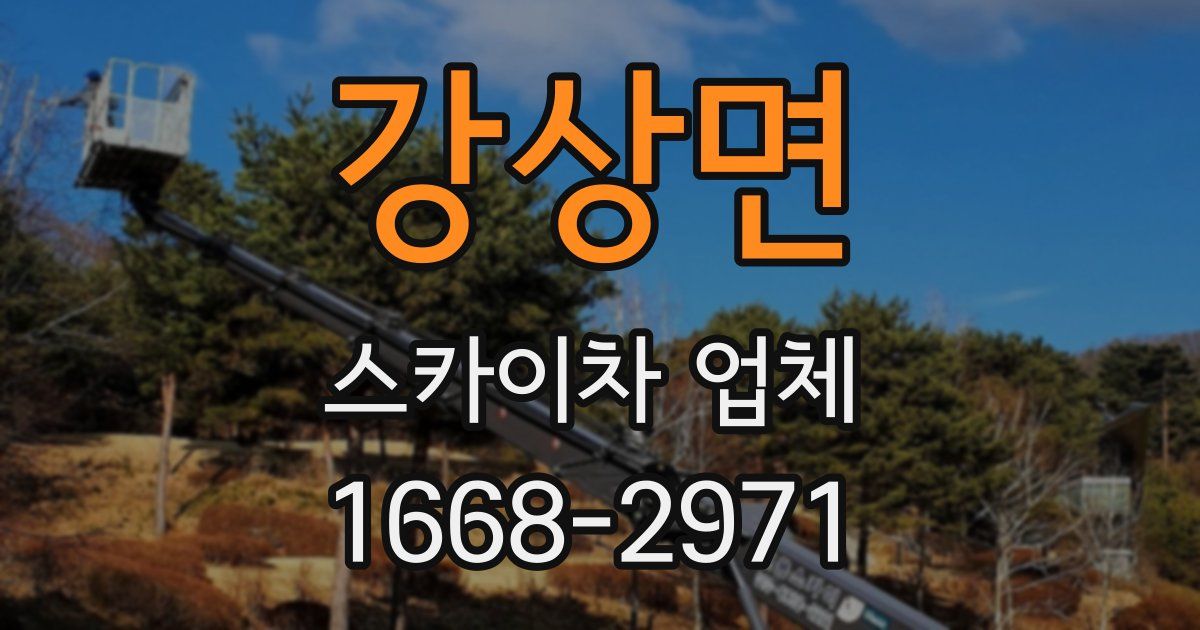 강상면 스카이차 업체