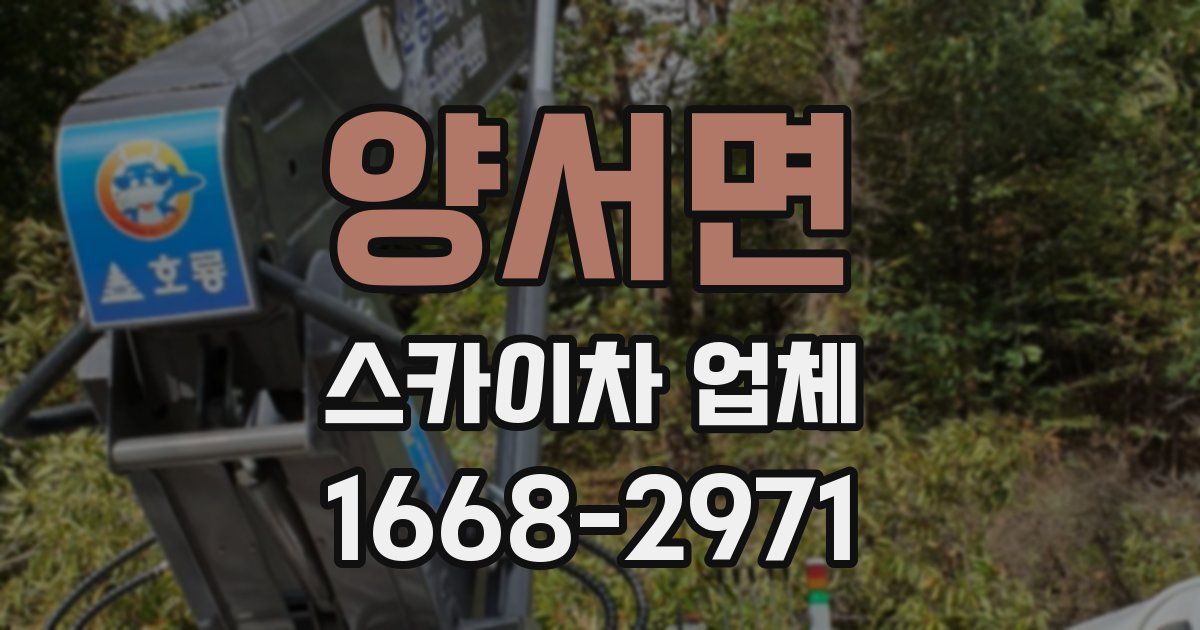 양서면 스카이차 업체