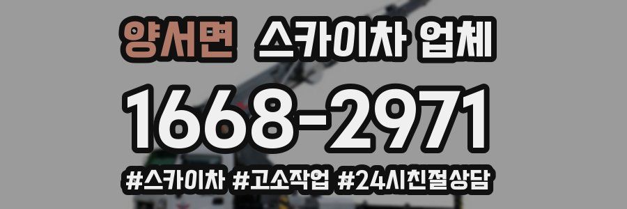 양서면 스카이차 업체