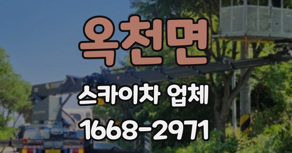 옥천면 스카이차 업체