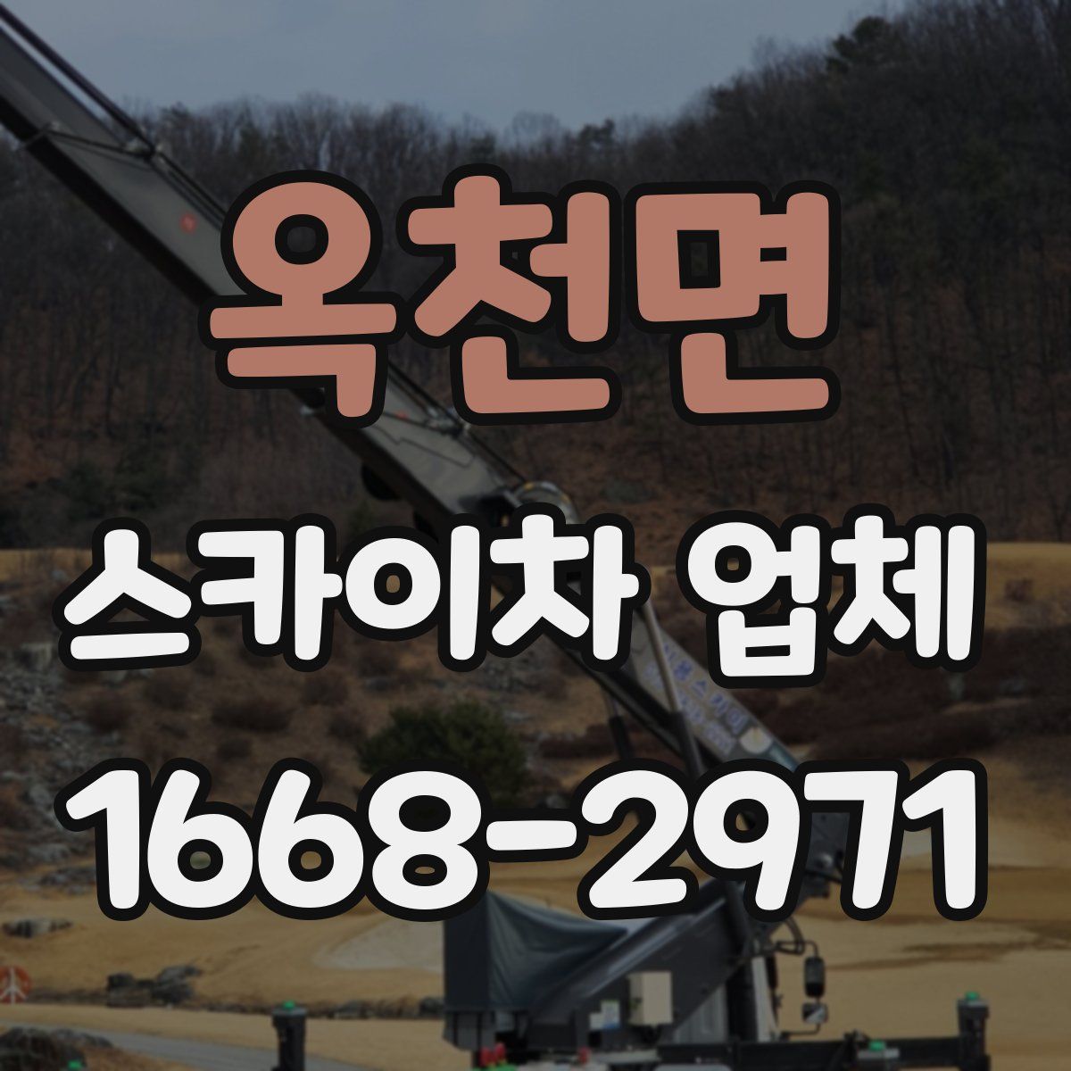옥천면 스카이차 업체