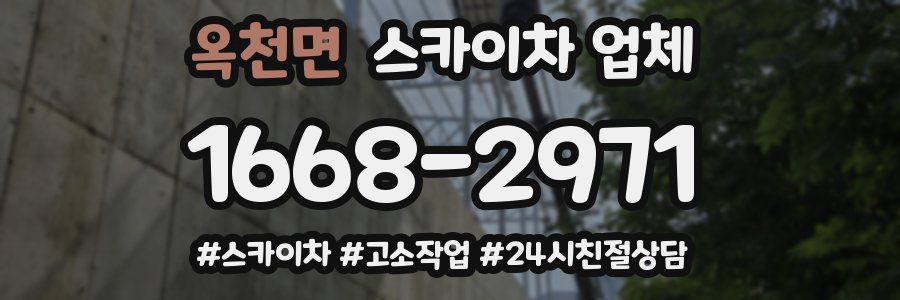 옥천면 스카이차 업체
