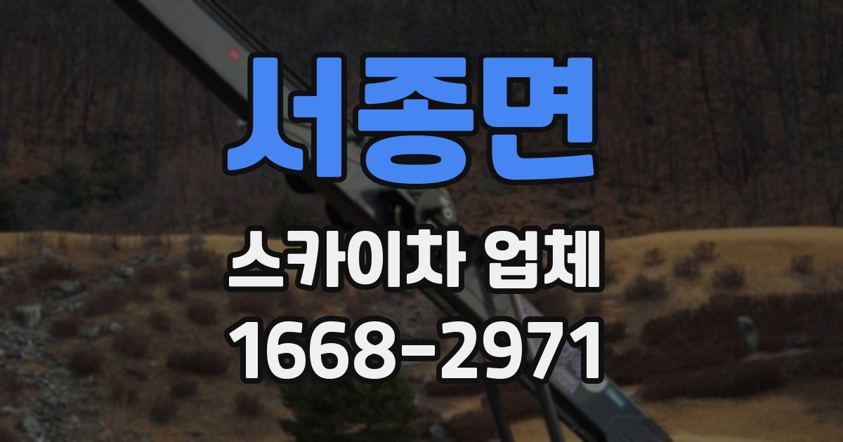 서종면 스카이차 업체