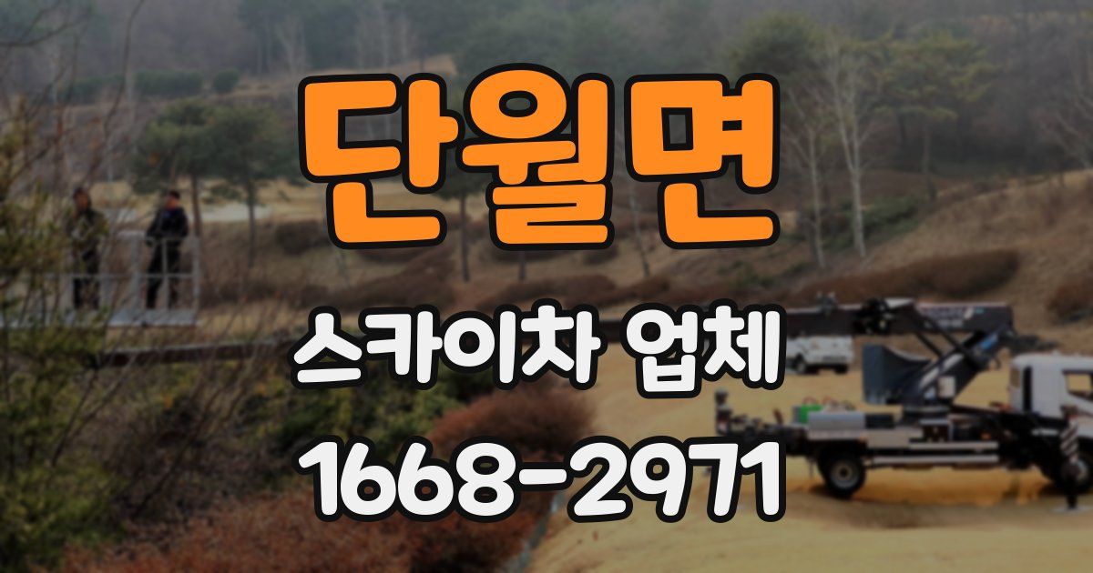 단월면 스카이차 업체