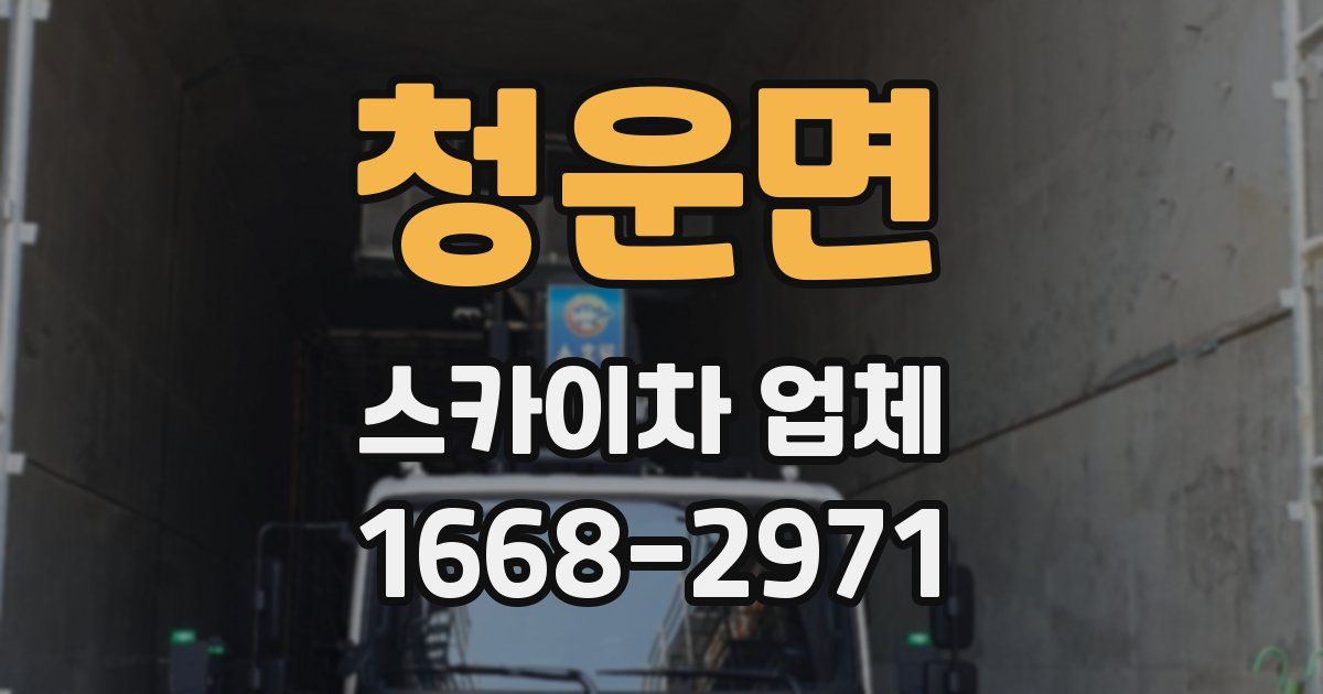 청운면 스카이차 업체