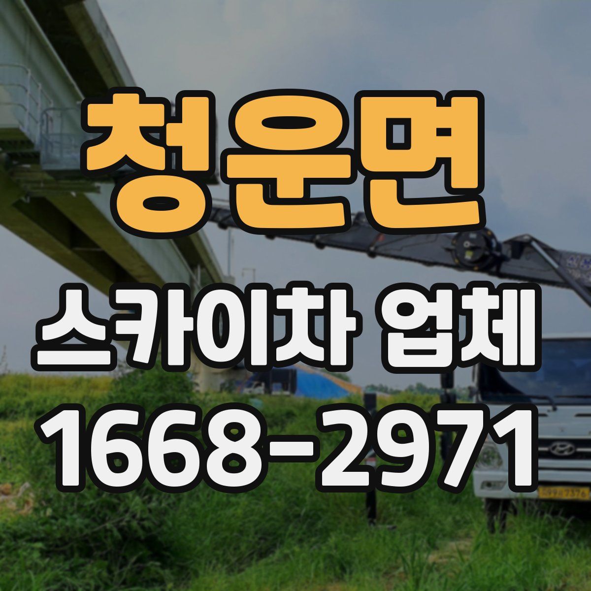 청운면 스카이차 업체