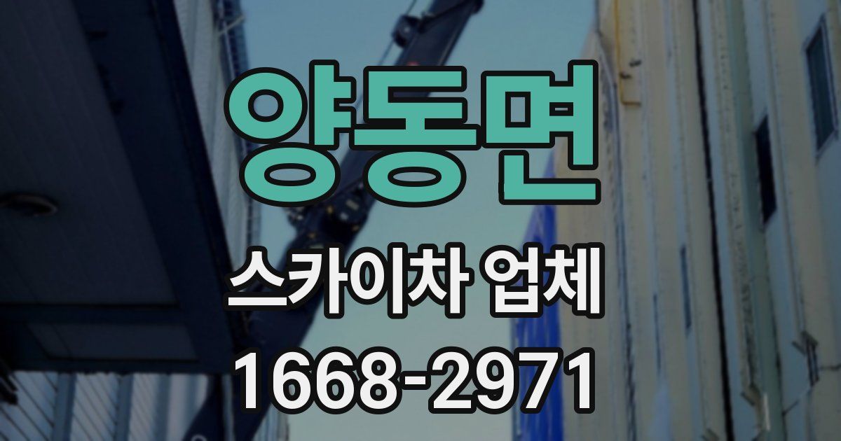 양동면 스카이차 업체