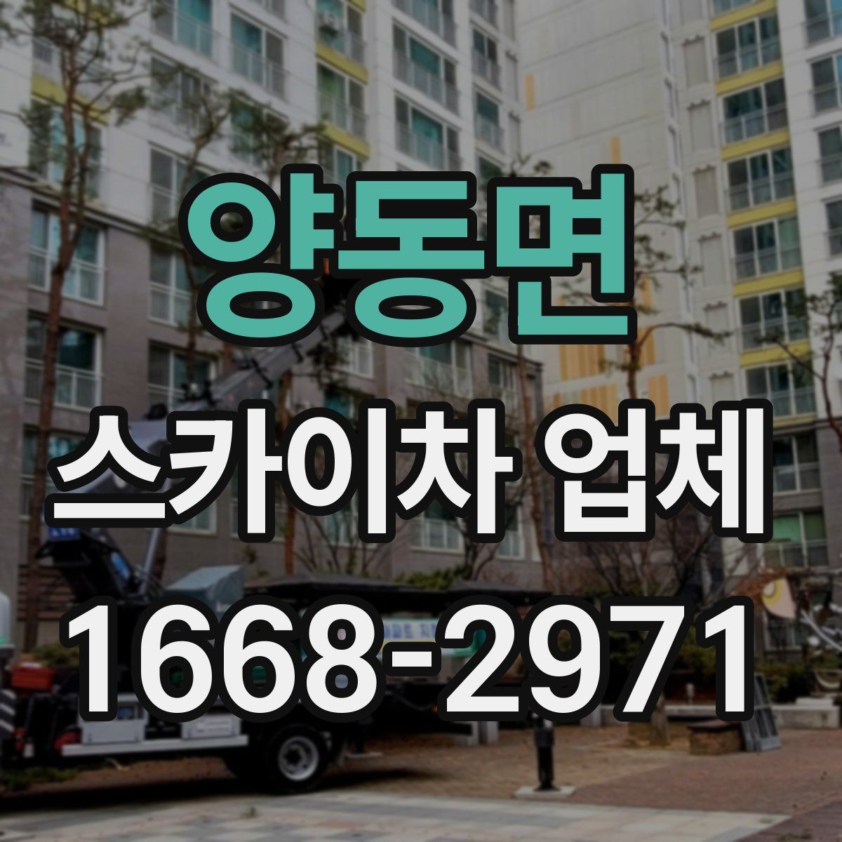 양동면 스카이차 업체