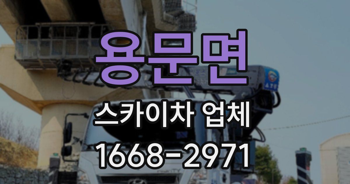 용문면 스카이차 업체