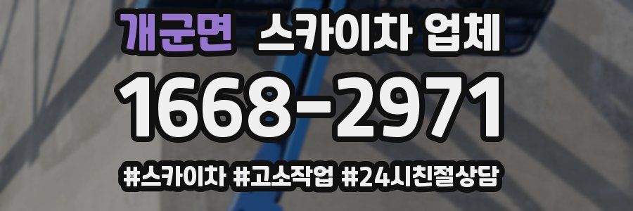 개군면 스카이차 업체