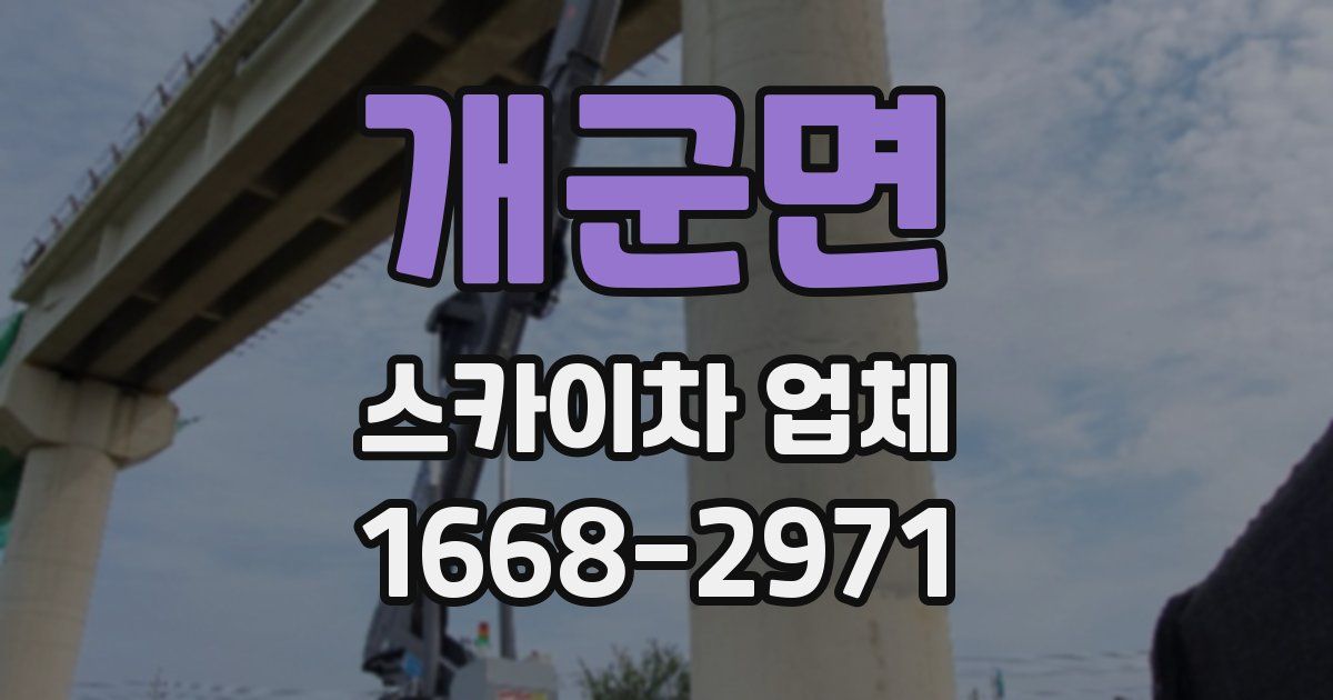 개군면 스카이차 업체