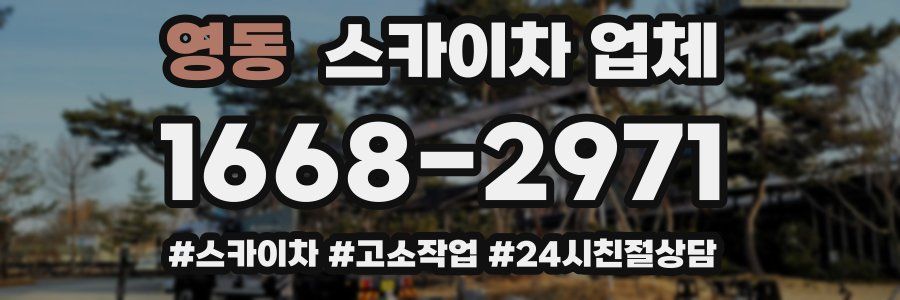 영동 스카이차 업체
