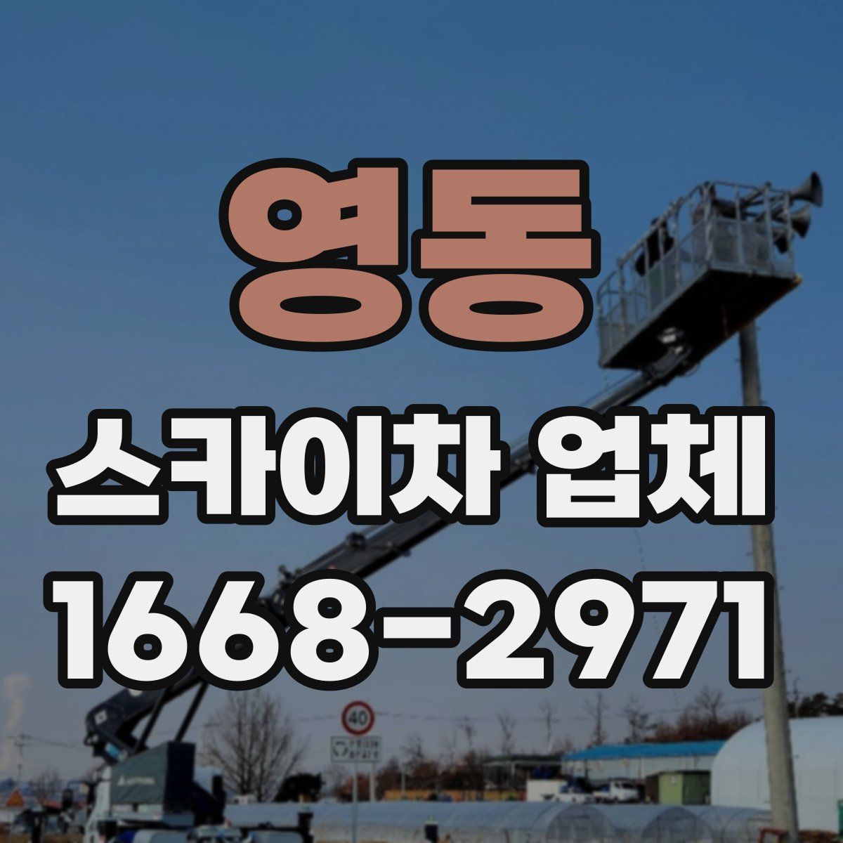 영동 스카이차 업체