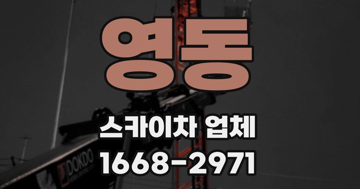 영동 스카이차 업체