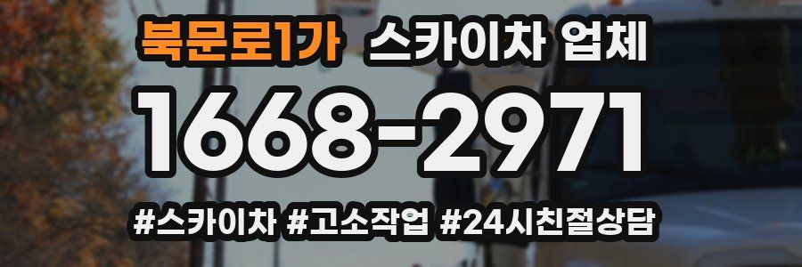 북문로1가 스카이차 업체