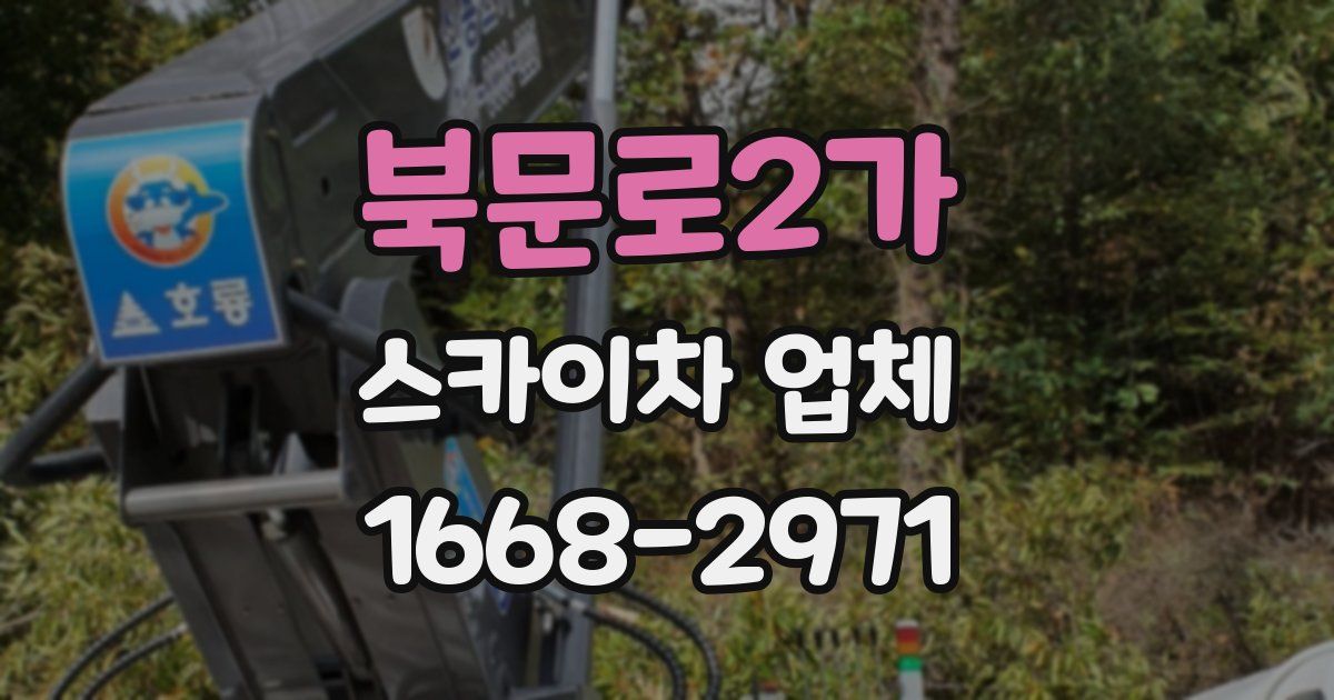 북문로2가 스카이차 업체