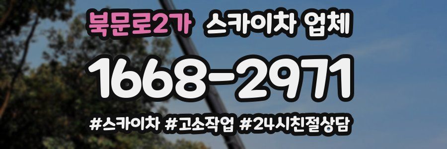 북문로2가 스카이차 업체