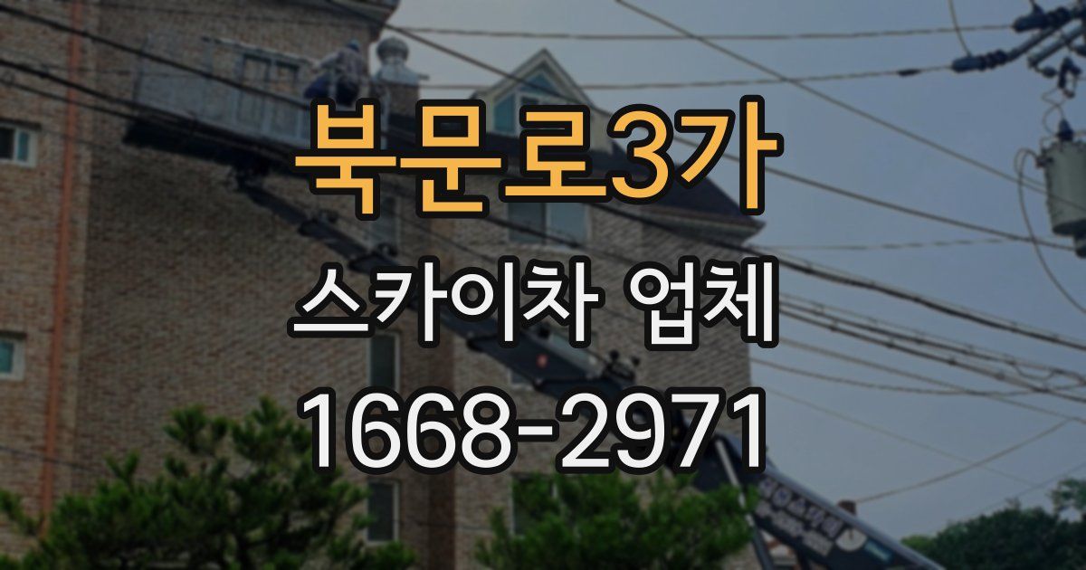 북문로3가 스카이차 업체