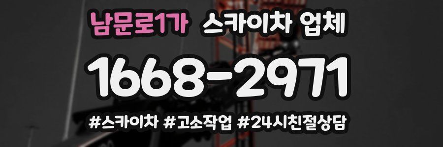 남문로1가 스카이차 업체