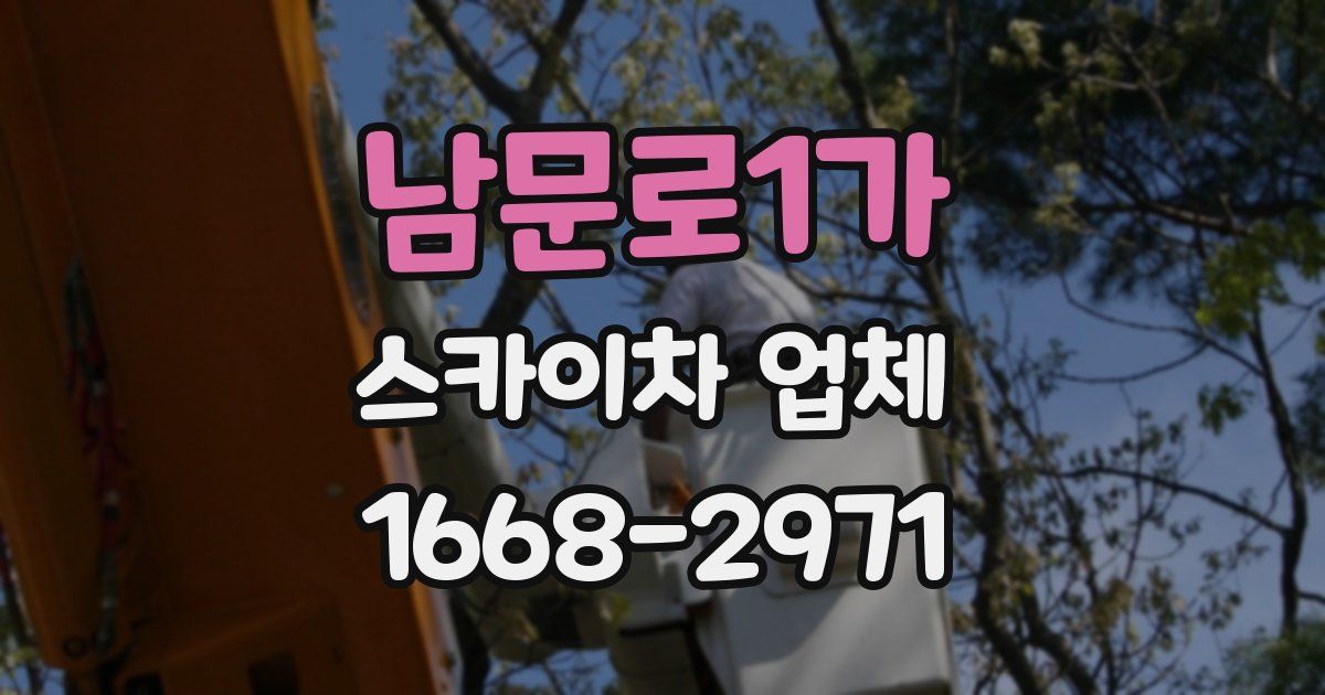 남문로1가 스카이차 업체