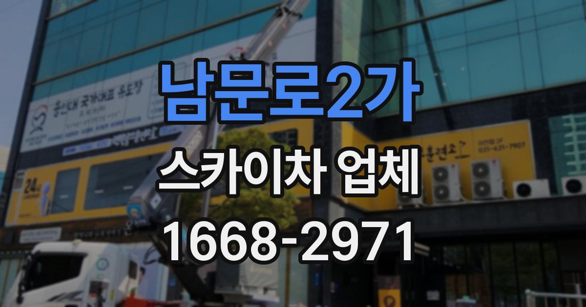 남문로2가 스카이차 업체