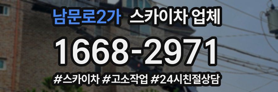남문로2가 스카이차 업체