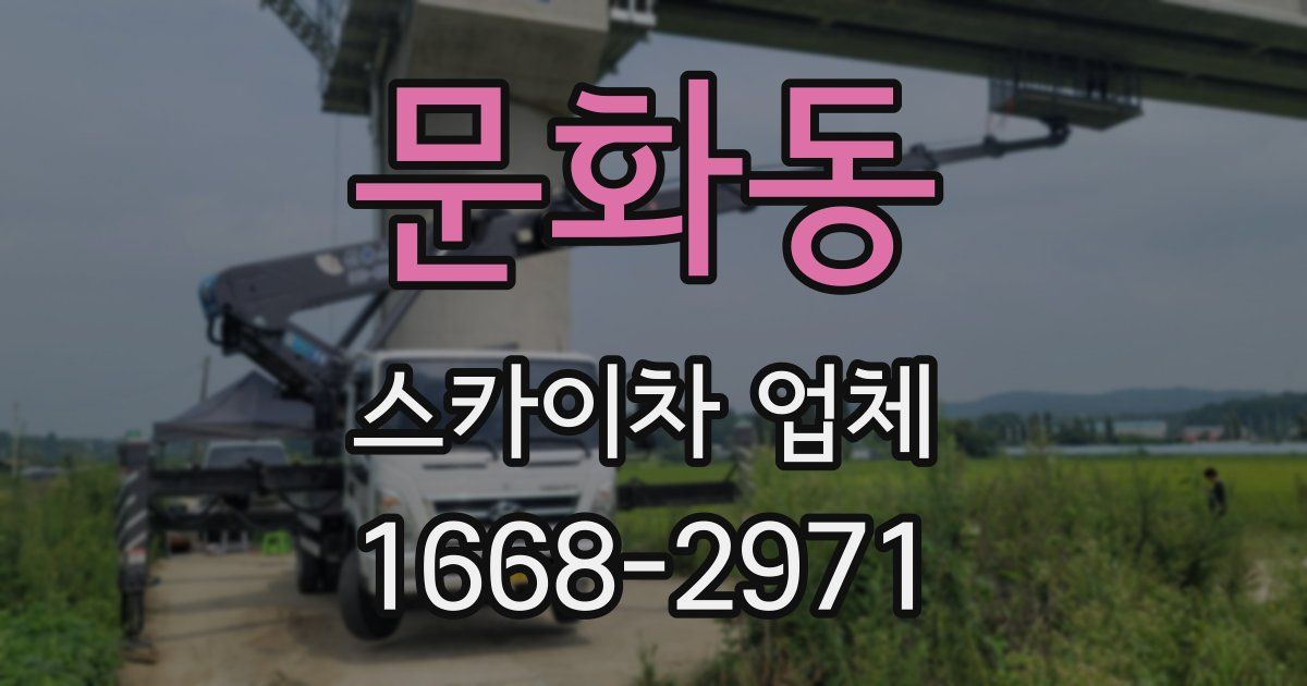 문화동 스카이차 업체