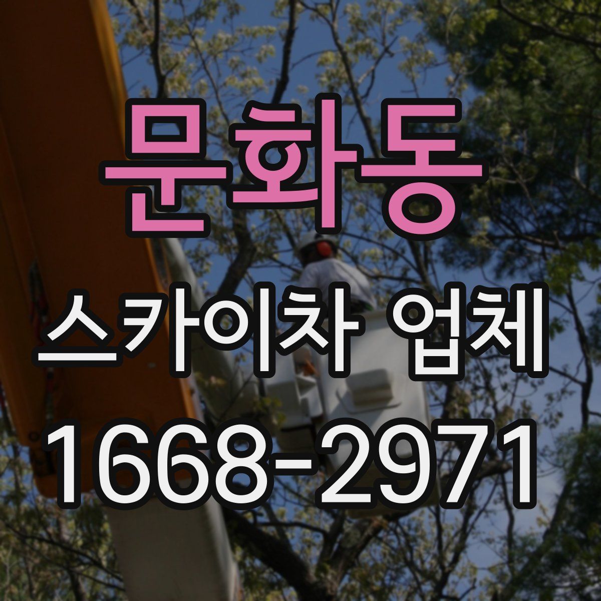 문화동 스카이차 업체