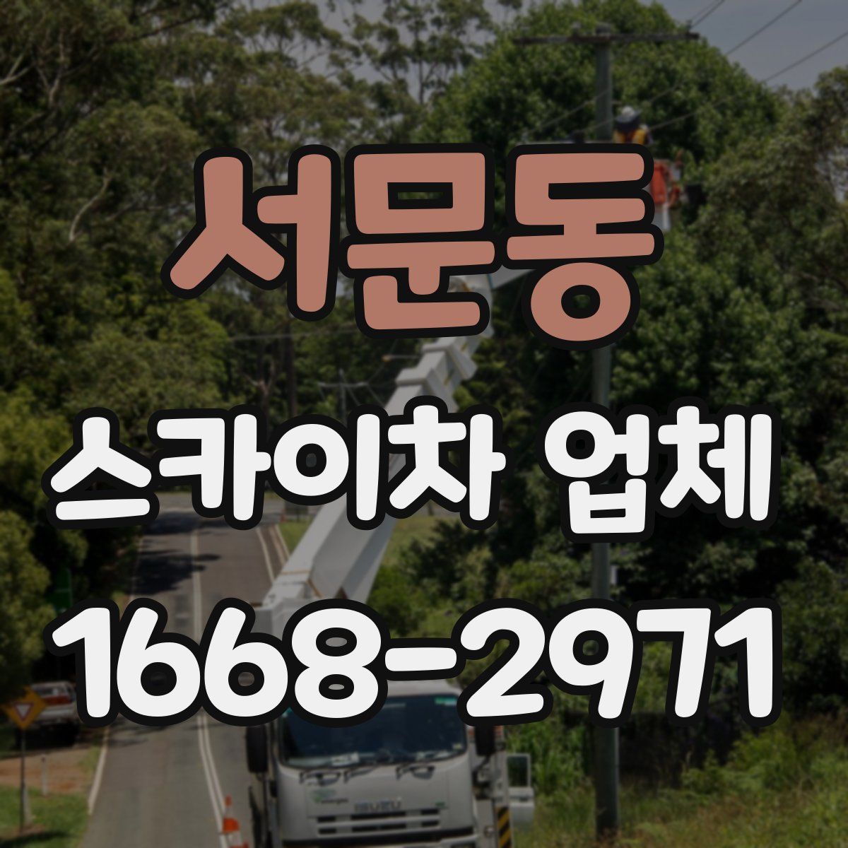 서문동 스카이차 업체