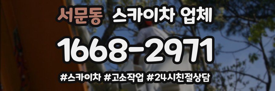 서문동 스카이차 업체