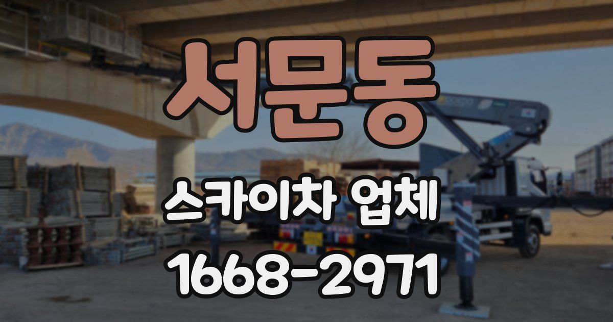 서문동 스카이차 업체
