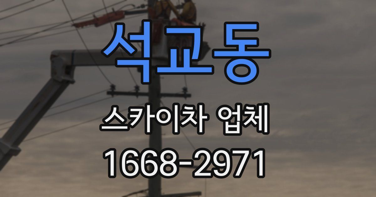 석교동 스카이차 업체