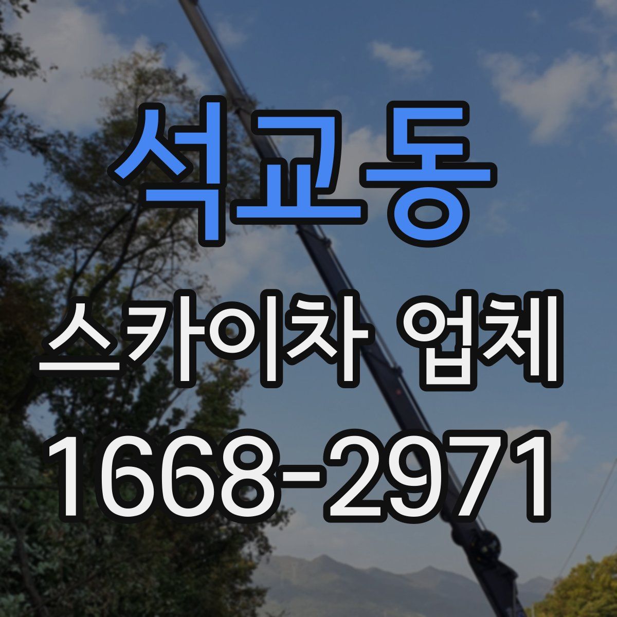 석교동 스카이차 업체