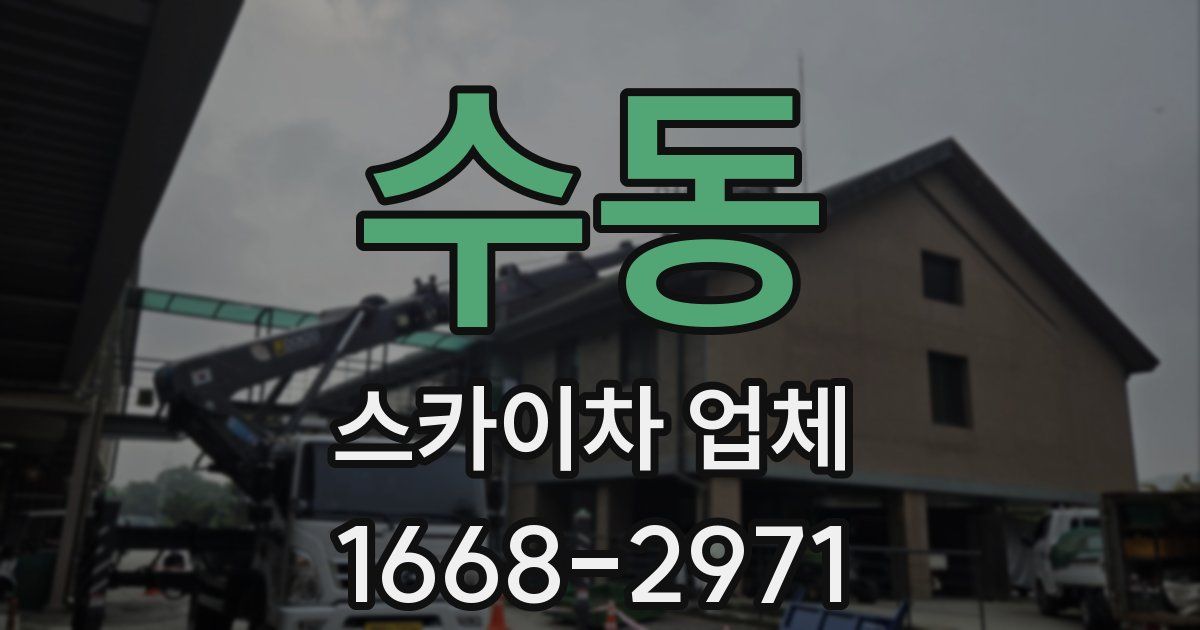 수동 스카이차 업체