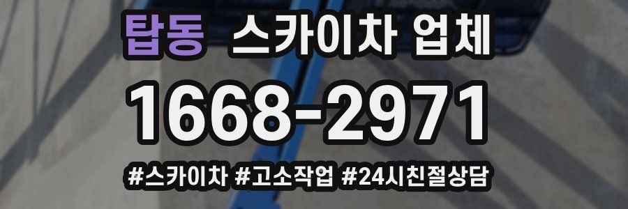 탑동 스카이차 업체