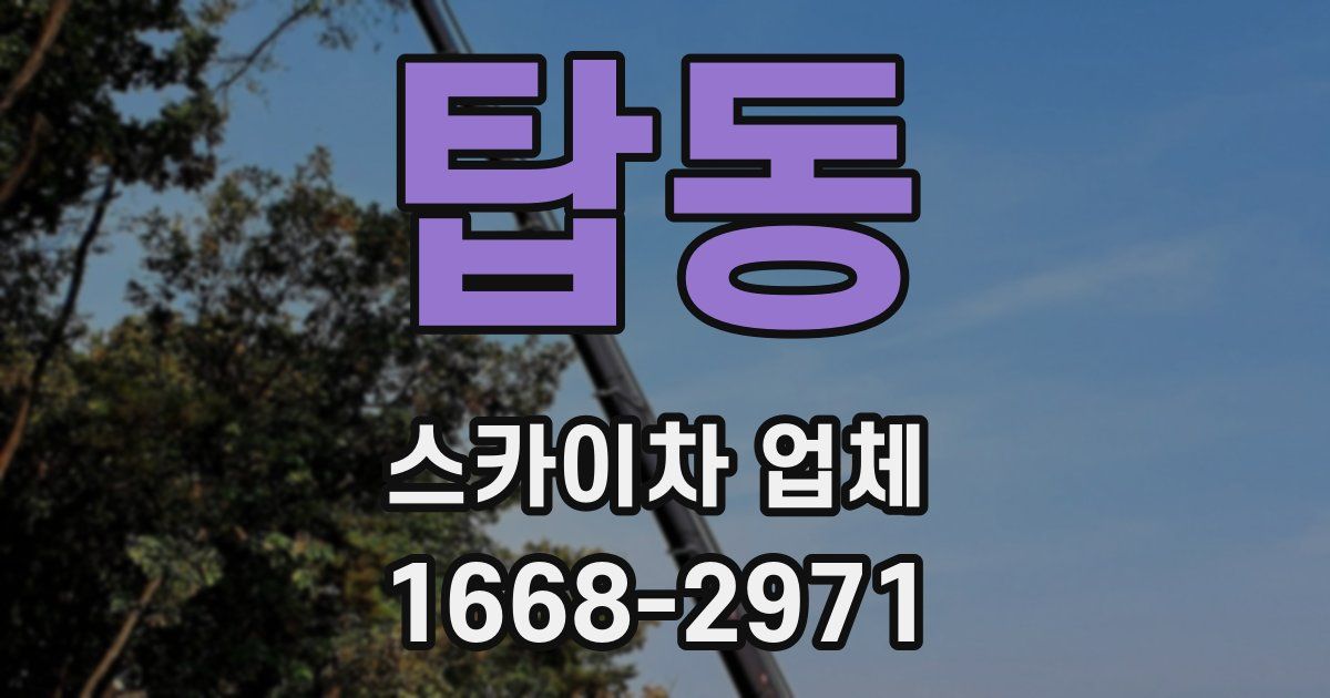 탑동 스카이차 업체