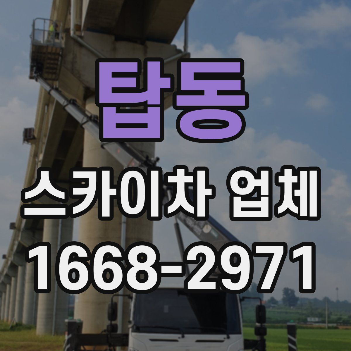 탑동 스카이차 업체