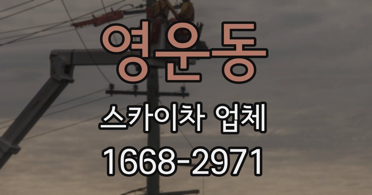 영운동 스카이차 업체