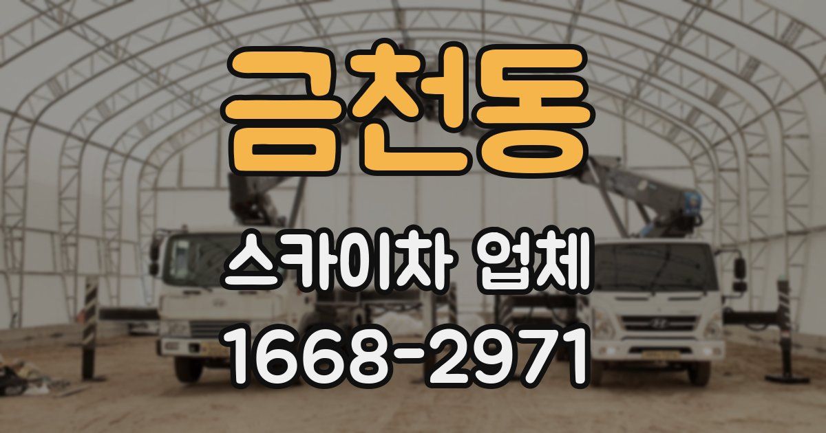 금천동 스카이차 업체