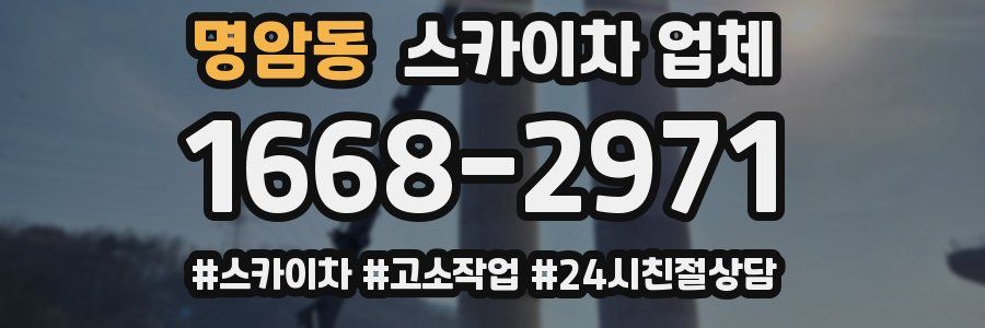 명암동 스카이차 업체