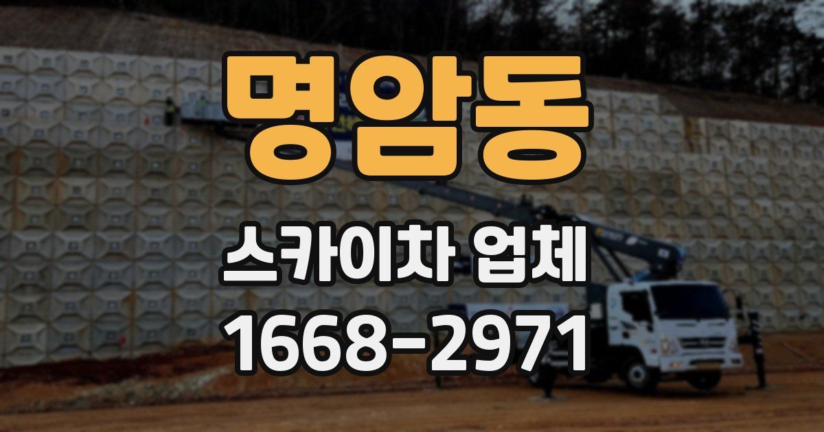 명암동 스카이차 업체