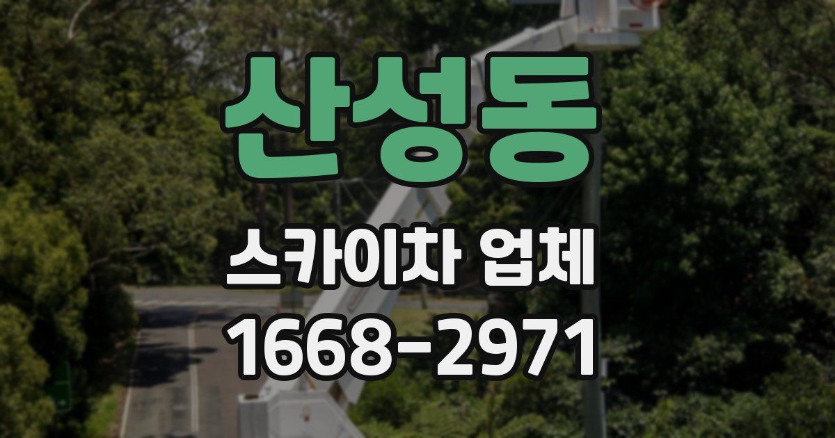 산성동 스카이차 업체