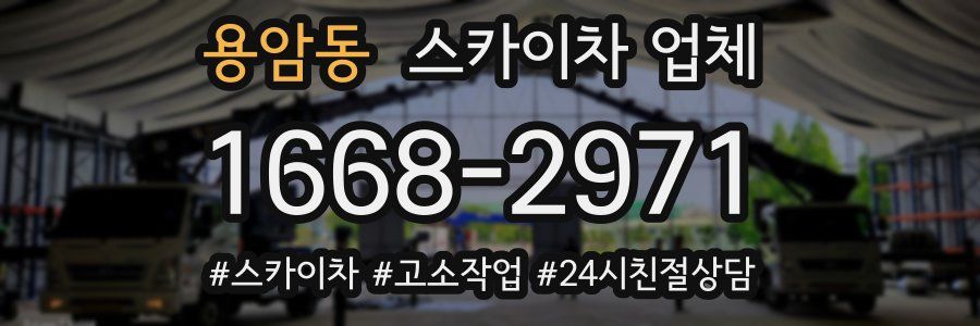 용암동 스카이차 업체