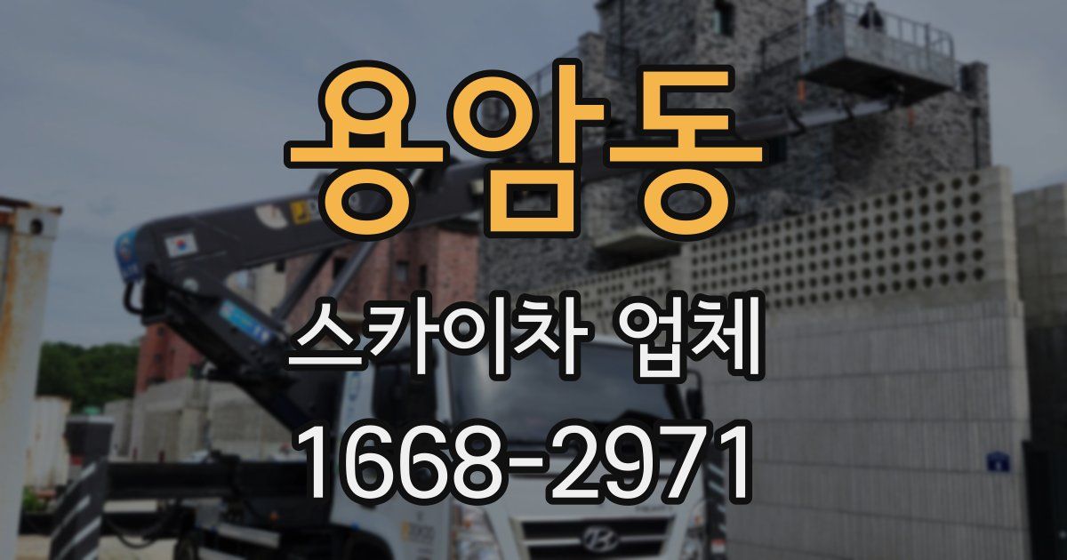용암동 스카이차 업체