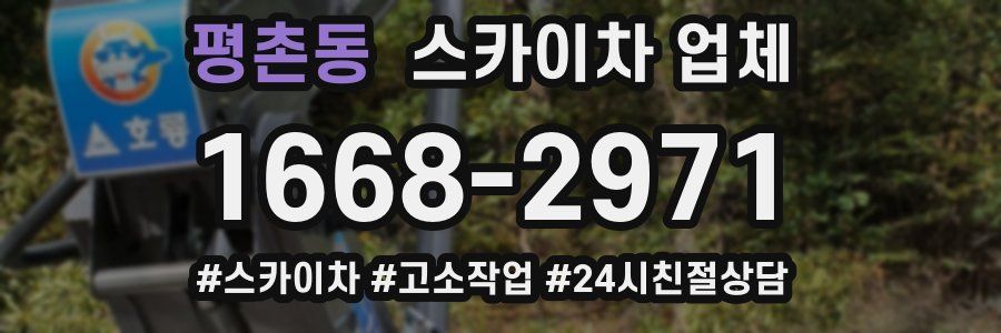 평촌동 스카이차 업체