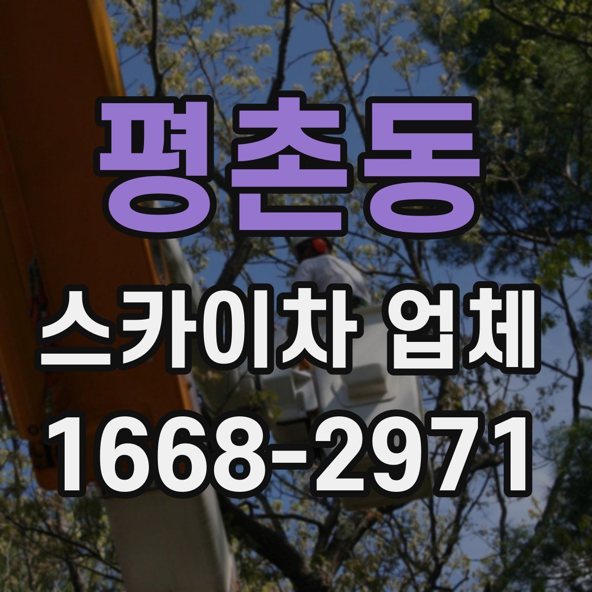 평촌동 스카이차 업체
