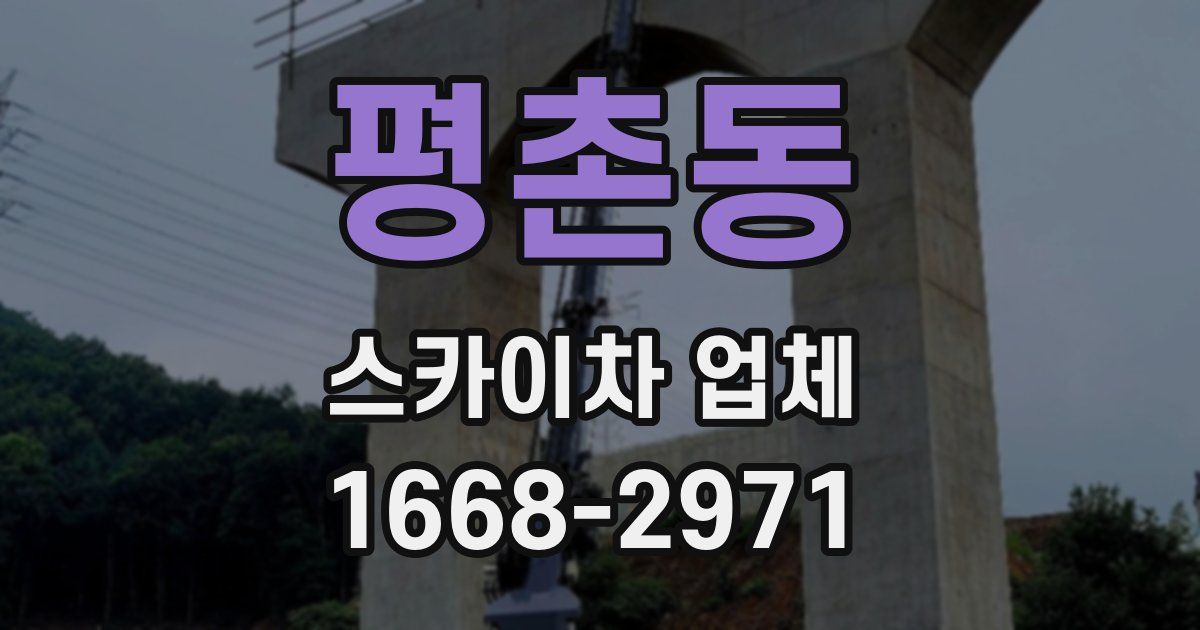 평촌동 스카이차 업체