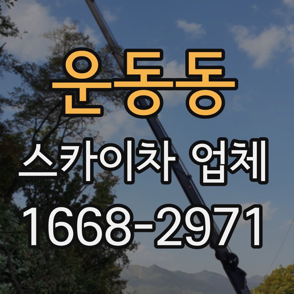 운동동 스카이차 업체