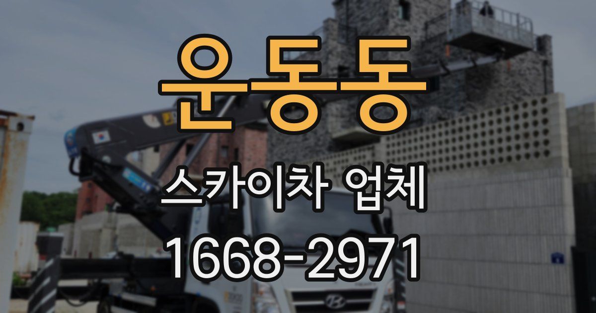 운동동 스카이차 업체