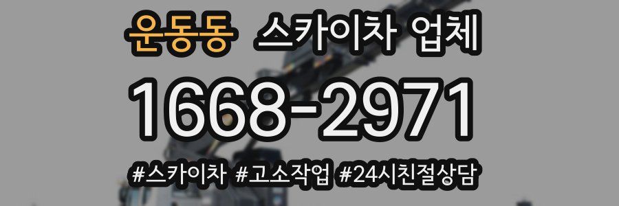 운동동 스카이차 업체